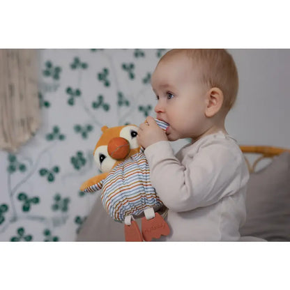 Baby Aktivität | Kuscheltier Teddybär | TradingToys